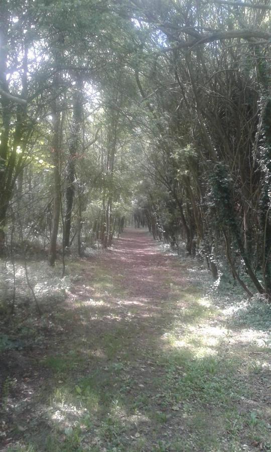 Les Portes Des Froises Saint-Quentin-en-Tourmont Buitenkant foto